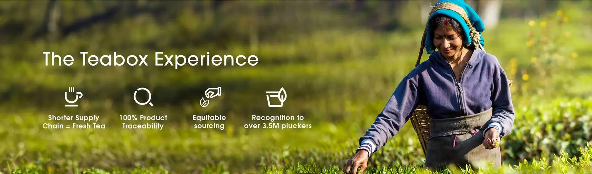 Indiaβs Finest Teas, Delivered Fresh